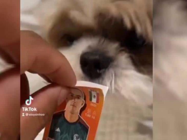 ¡Que nadie quede afuera! Perrito ayuda a llenar el álbum Panini ¡Que nadie quede afuera! Perrito ayuda a llenar el álbum Panini