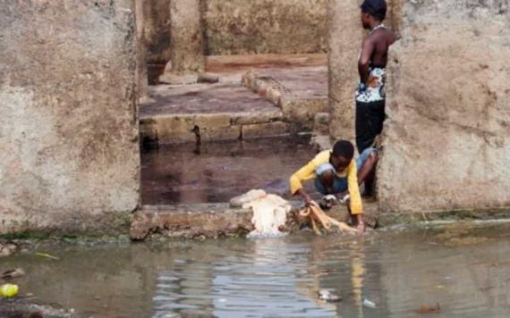 OMS alerta aparición de brotes de cólera en todo el mundo