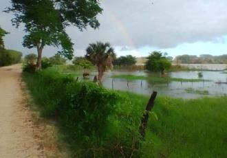 Campesinos del ejido Amatitan reportan cultivos inundados por el Usumacinta