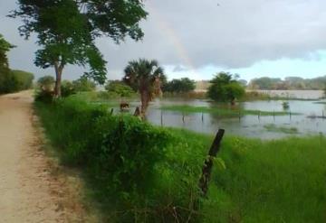 Campesinos del ejido Amatitan reportan cultivos inundados por el Usumacinta