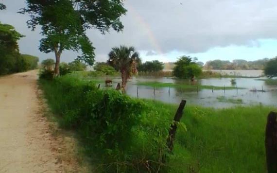 Campesinos del ejido Amatitan reportan cultivos inundados por el Usumacinta