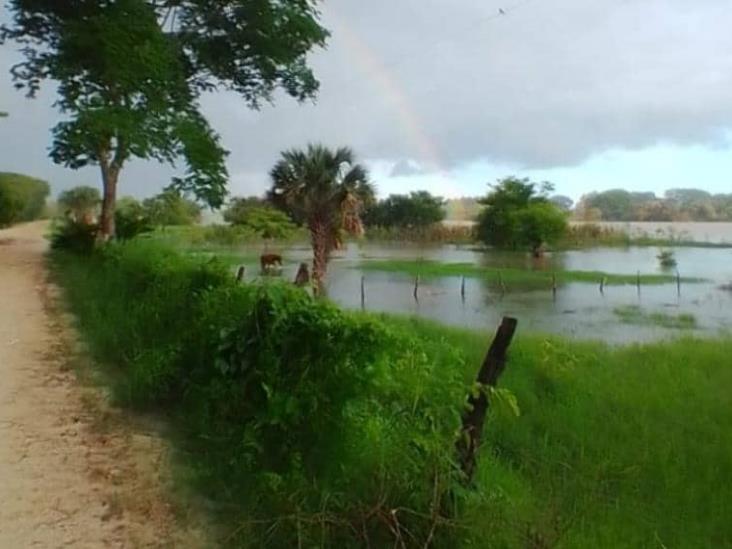 Campesinos del ejido Amatitan reportan cultivos inundados por el Usumacinta Campesinos del ejido Amatitan reportan cultivos inundados por el Usumacinta
