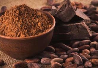 Presenta Turismo conferencia para fortalecer cadena de valor cacao-chocolate