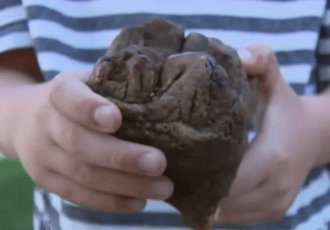 Niño descubre fósil prehistórico en EU