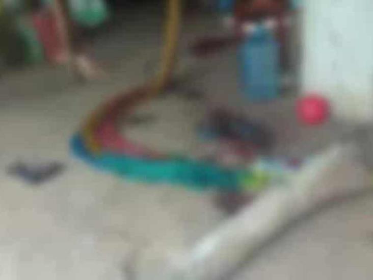 En Cunduacán, niña muere aplastada por un tronco; se mecía en la hamaca En Cunduacán, niña muere aplastada por un tronco; se mecía en la hamaca