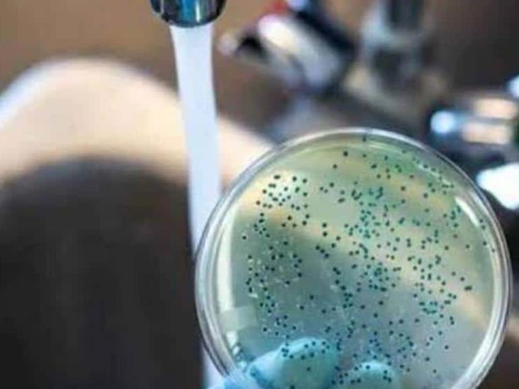Secretaría de Salud emite aviso epidemiológico por cólera Secretaría de Salud emite aviso epidemiológico por cólera