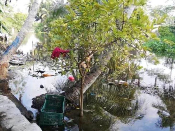En Nacajuca más de 40 comunidades sufren ya anegaciones acusa de las lluvias y el escurrimiento de las aguas de los altos de Chiapas En Nacajuca más de 40 comunidades sufren ya anegaciones acusa de las lluvias y el escurrimiento de las aguas de los altos de Chiapas