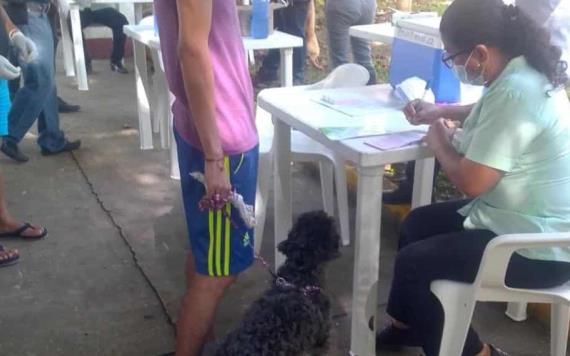 Personal de salud realiza vacunación de perros y gatos contra la Rabia