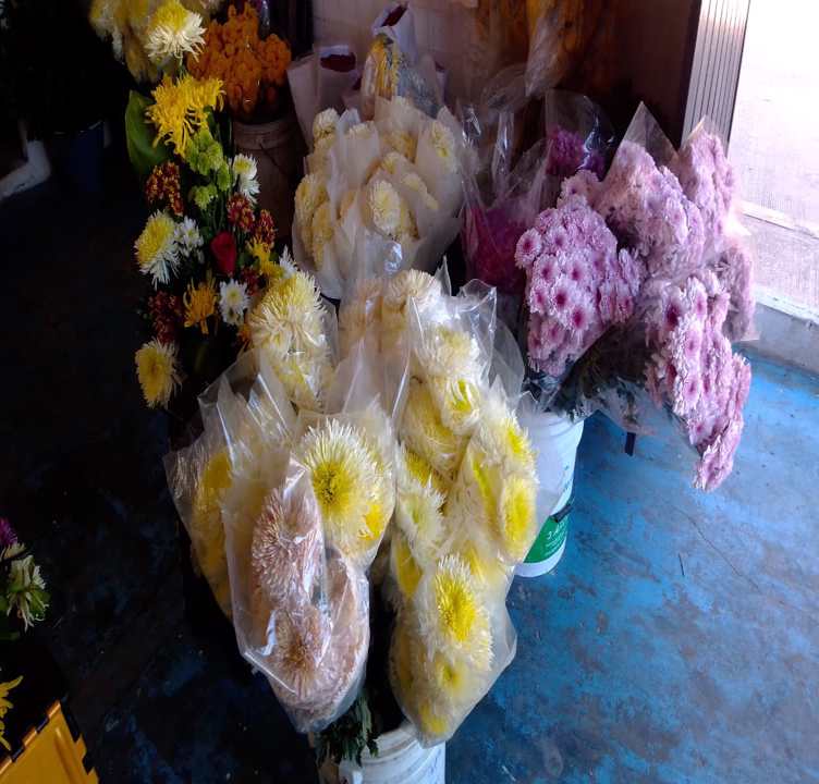 Repunte en venta de flores por Día de Muertos