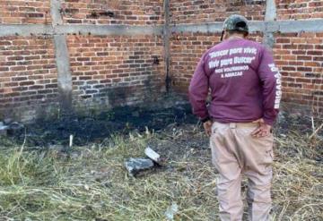 Macabra pista, perro con pierna humana en el hocico da pista para localizar mega fosa en Irapuato