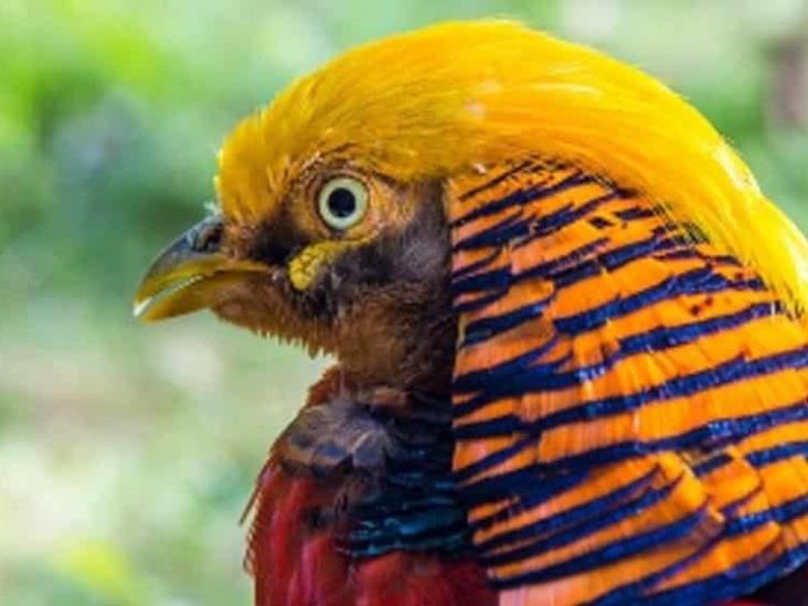 Crisis medioambiental: Los humanos, cada vez más solos en la Tierra Crisis medioambiental: Los humanos, cada vez más solos en la Tierra