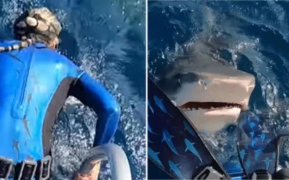 Video: científica casi se arroja por error a la boca de un tiburón