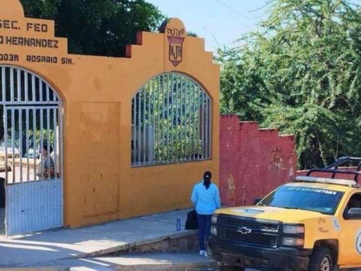 Enjambre de abejas ataca a 50 alumnos y profesores en Sinaloa Enjambre de abejas ataca a 50 alumnos y profesores en Sinaloa