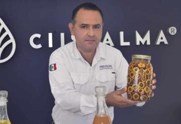 Tabasco es líder y pionero en producción de palma de aceite