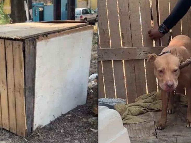Rescatan a perrito que estuvo atrapado 3 días dentro de una caja de madera en Azcapotzalco Rescatan a perrito que estuvo atrapado 3 días dentro de una caja de madera en Azcapotzalco