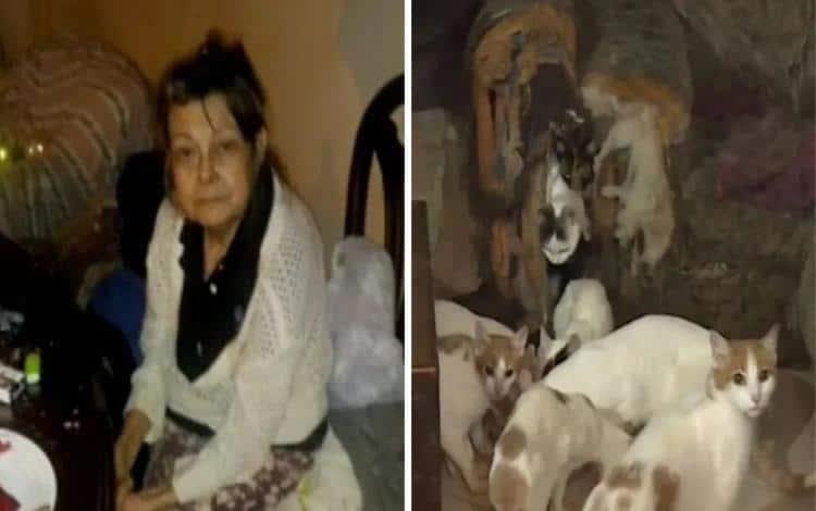 Muere mujer que vivía con más de 70 gatos en Colombia Muere mujer que vivía con más de 70 gatos en Colombia