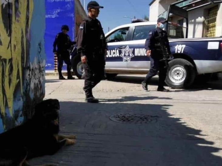 Ahora en Oaxaca; perro pasea con un brazo humano en el hocico Ahora en Oaxaca; perro pasea con un brazo humano en el hocico