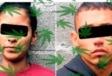 Pareja fue detenida luego de pelear por bolsas de mariguana