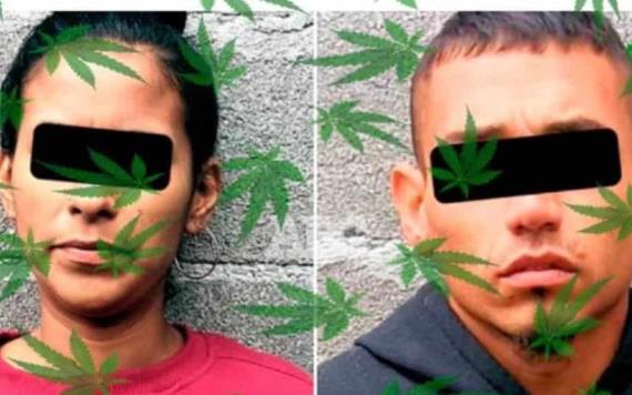 Pareja fue detenida luego de pelear por bolsas de mariguana