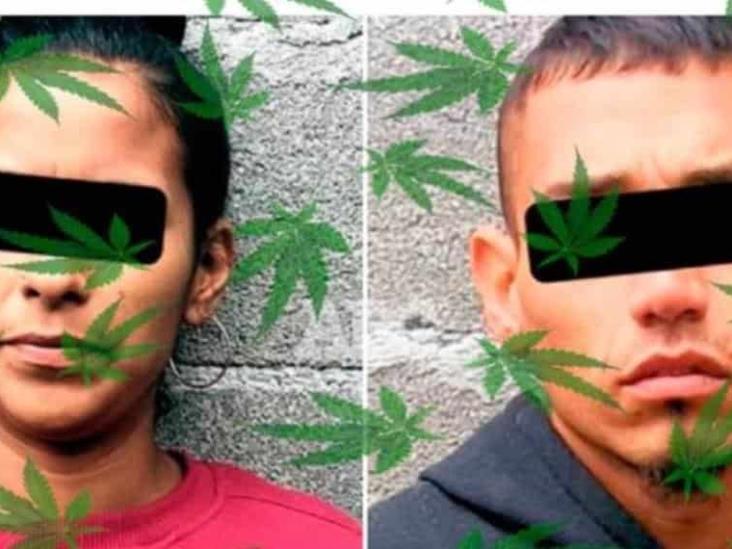 Pareja fue detenida luego de pelear por bolsas de mariguana Pareja fue detenida luego de pelear por bolsas de mariguana