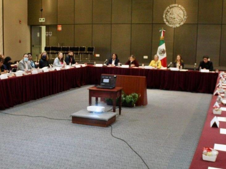 Preside la Secretaria General del Conapo la 29ª Reunión de la COCOEF Preside la Secretaria General del Conapo la 29ª Reunión de la COCOEF