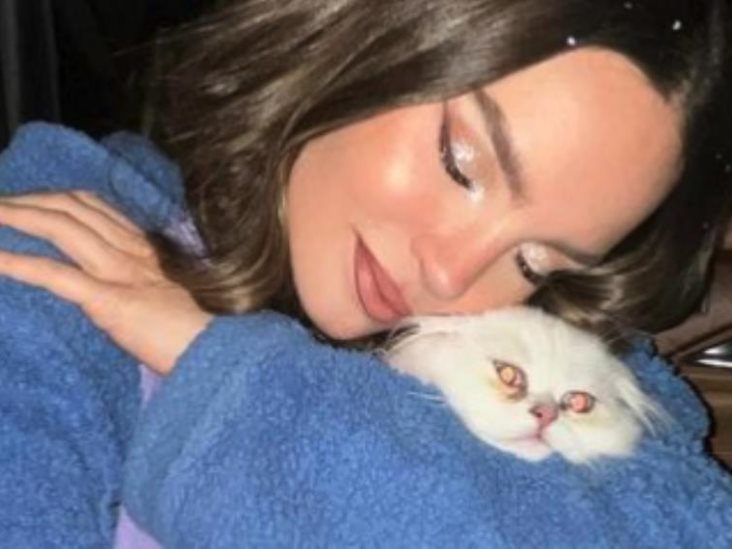 Belinda presume a su nuevo gato y pide consejos como Karen primeriza Belinda presume a su nuevo gato y pide consejos como Karen primeriza