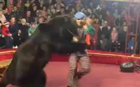 ¡Aterrador! Oso ataca brutalmente a su entrenador en pleno show de circo