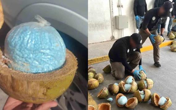 En Sonora FGR decomisa, 300 kilos de fentanilo escondidos en cocos