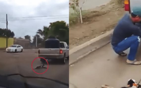 Hombre arrastra a perrito con su camioneta en Sonora; piden justicia para "Zorrillo"