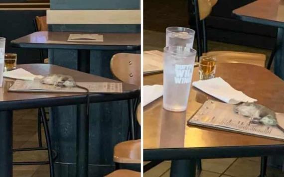 Una rata cae del techo sobre la mesa de clientes que esperaban su orden en un restaurante