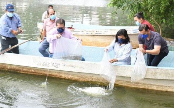 Liberan 3 mil crías de pejelagarto y mil 100 de mojarra paleta