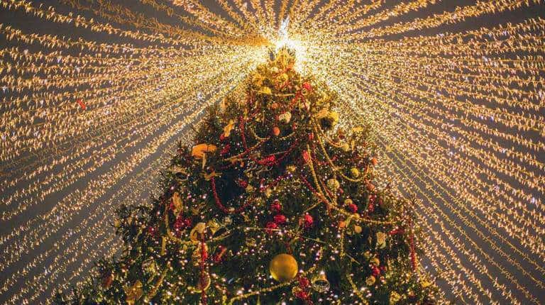 Te decimos todo sobre el origen el árbol navideño