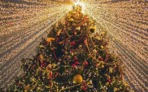 Esta es la historia de cómo una tradición pagana dio origen al árbol de Navidad
