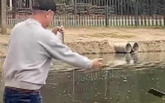 Video: Un señor quiere regresar un pez al agua, pero se confunde y lanza su celular