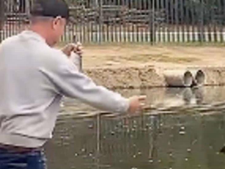 Video: Un señor quiere regresar un pez al agua, pero se confunde y lanza su celular Video: Un señor quiere regresar un pez al agua, pero se confunde y lanza su celular