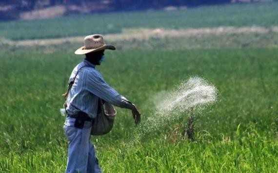 Fertilizantes mexicanos, una batalla por el campo y la comida