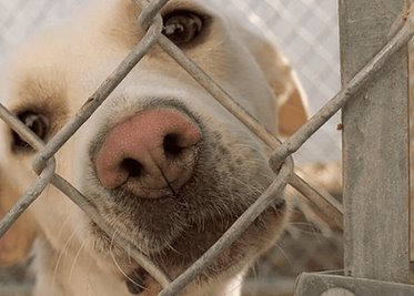 ¿De "vecinos distantes" a amigos cercanos?