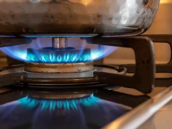 EEUUU busca prohibir estufas de gas por daños a la salud EEUUU busca prohibir estufas de gas por daños a la salud