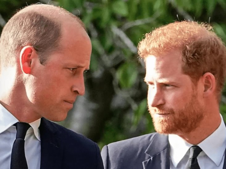Revela el príncipe Harry que fue criado para darle sus órganos a su hermano William Revela el príncipe Harry que fue criado para darle sus órganos a su hermano William