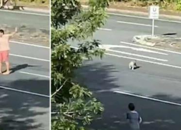 Padre obliga a su hijo de 7 años a conducir en autopista de Argentina