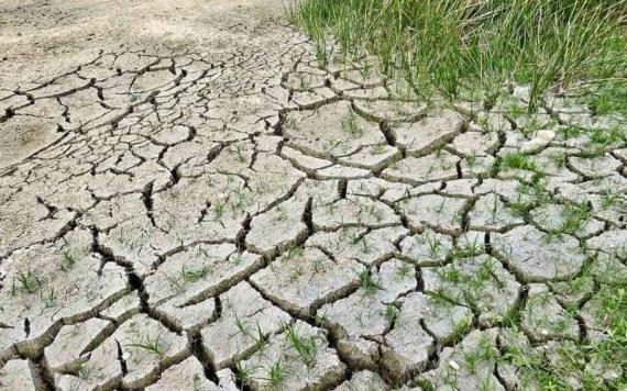 ¡Alerta! 2023 inicia con 80% del territorio mexicano con algún grado de sequía