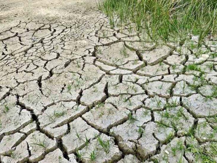 ¡Alerta! 2023 inicia con 80% del territorio mexicano con algún grado de sequía ¡Alerta! 2023 inicia con 80% del territorio mexicano con algún grado de sequía