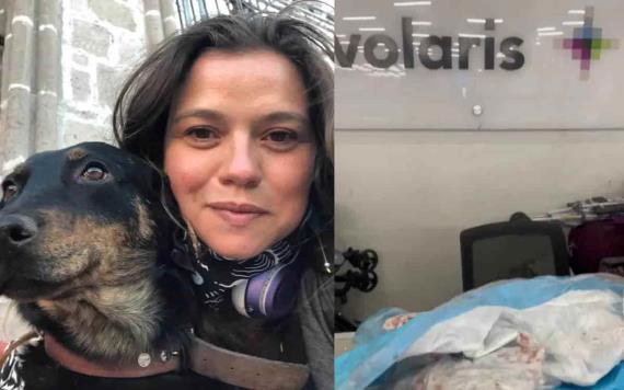 Mujer denuncia que Volaris le regresó a su perrito con heridas