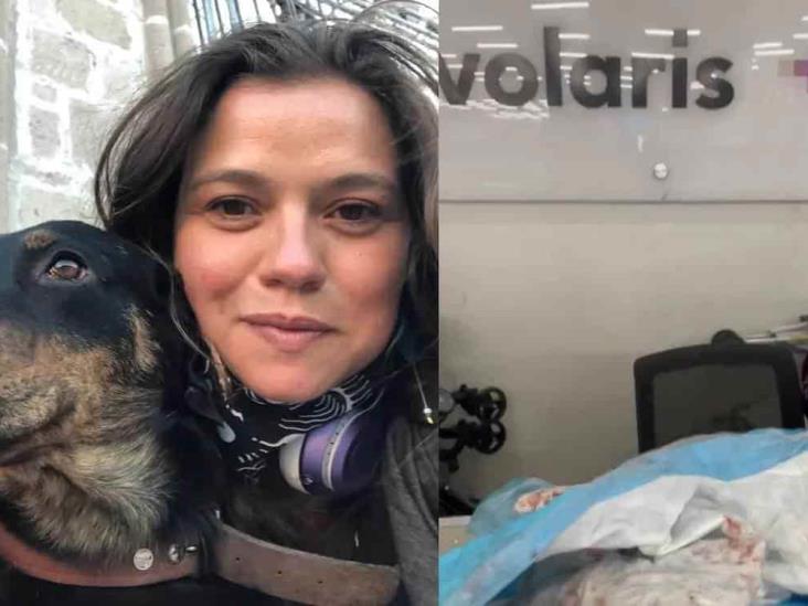 Mujer denuncia que Volaris le regresó a su perrito con heridas Mujer denuncia que Volaris le regresó a su perrito con heridas