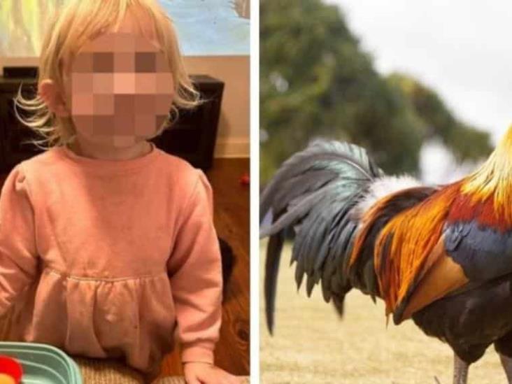 Un gallo de mascota ataca a una pequeña y su mamá lo hace nuggets como venganza Un gallo de mascota ataca a una pequeña y su mamá lo hace nuggets como venganza