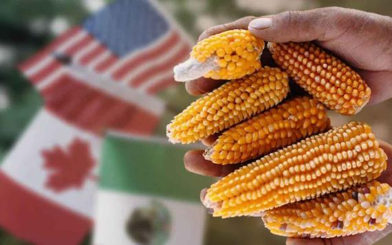 Restricciones al maíz tienen a México y EEUU en posible choque comercial