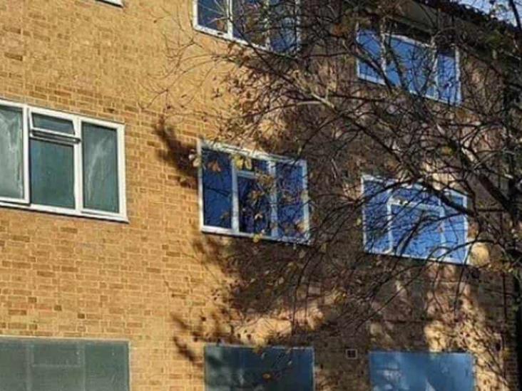 Encuentran casi momificada a mujer que falleció en 2017 en Inglaterra Encuentran casi momificada a mujer que falleció en 2017 en Inglaterra
