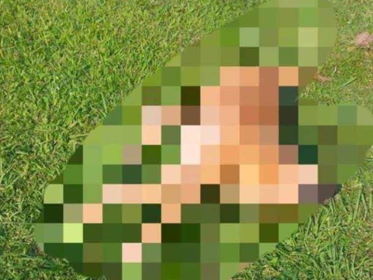 Le envenenan tres perros a joven discapacitado en Jalpa Le envenenan tres perros a joven discapacitado en Jalpa