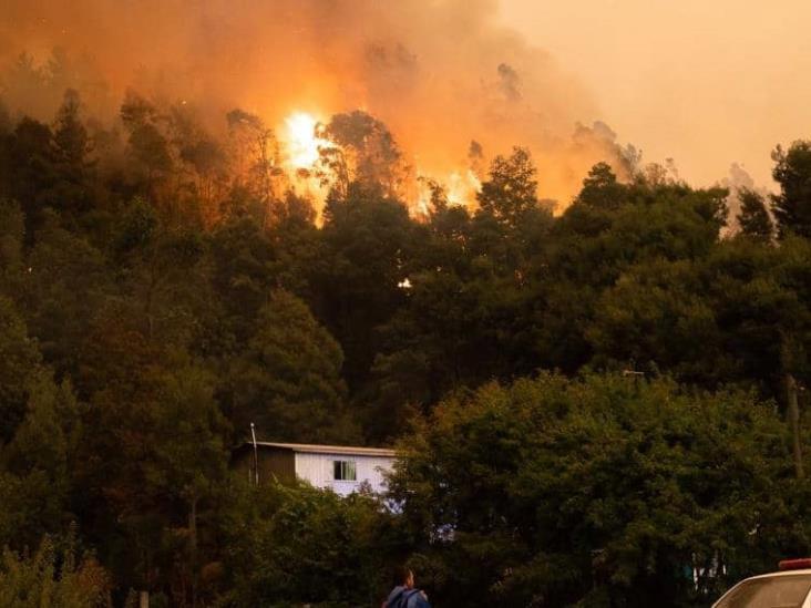 Chile solicita ayuda de distintos países tras fuertes incendios forestales Chile solicita ayuda de distintos países tras fuertes incendios forestales