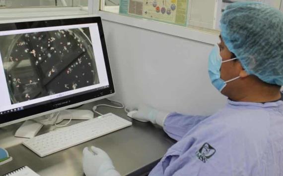Con Banco de células de cordón umbilical, IMSS ha realizado trasplante de médula ósea a más de 150 menores